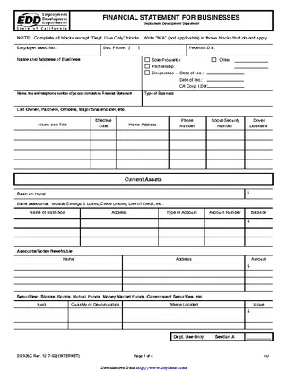 Forms Business Financial Statement Form 3