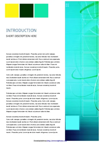 Business Report Template 5