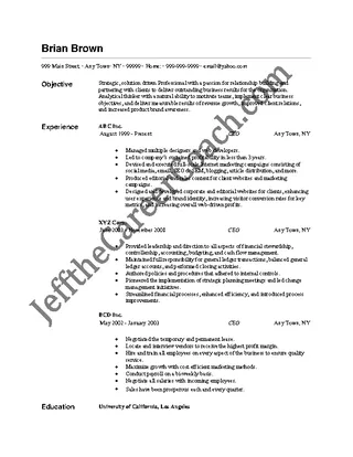 Ceo Resume Free Download