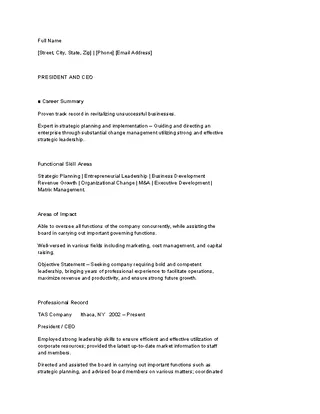Ceo Resume Template