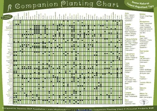 Forms Companion Planting Chart 1