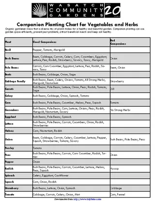 Forms Companion Planting Chart For Vegetables And Herbs