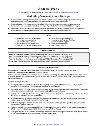 Forms Cv Template Marketing Manager