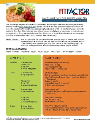 Forms Daily Meal Plan Menu Template