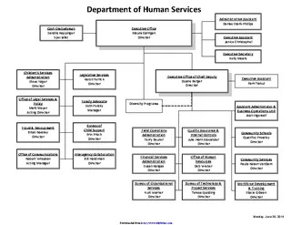 Forms dhs-organizational-chart-2