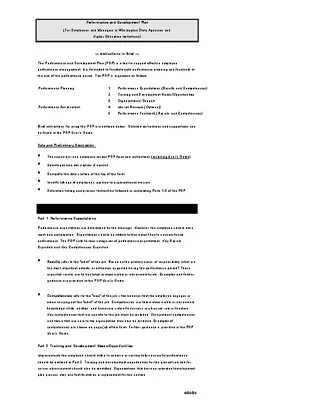 Employee Development And Performance Plan Free Word Template