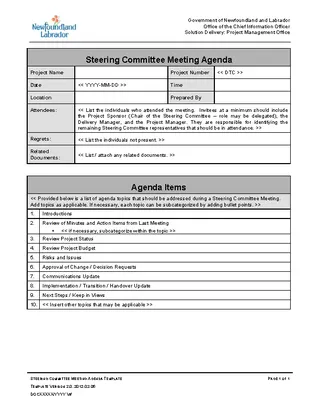 Example Steering Committee Meeting Agenda