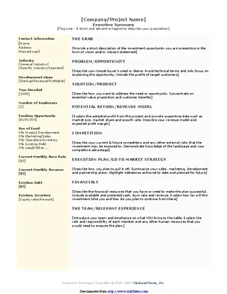 Forms Executive Summary Template 3