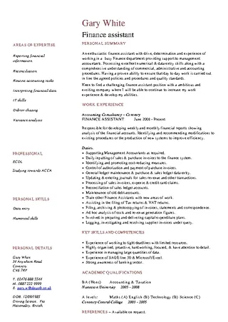 Finance Assistant Cv Template