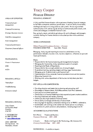 Finance Director Cv Template