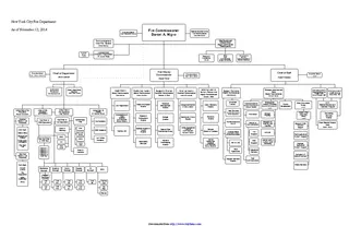 Fire Department Organizational Chart 1