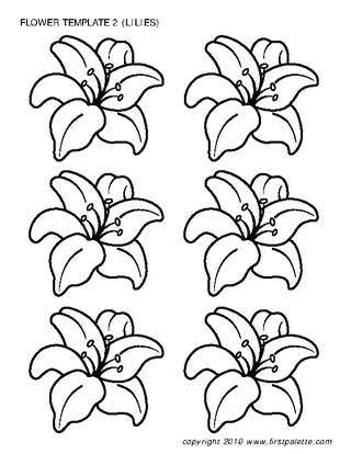 Flower Template Of Lilies