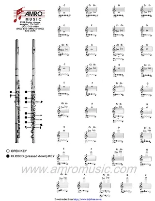 Flute Fingering Chart 1