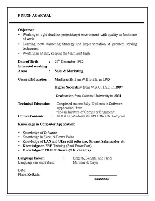 Free Resume Templates For Graduate Students