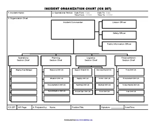 Ics Organizational Chart 1