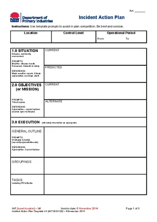 Incident Action Plan Template