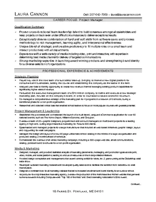 Interactive Project Manager Resume