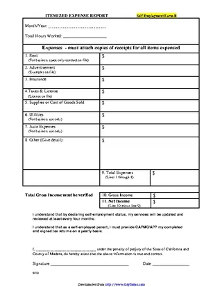 Itemized Expense Report Template