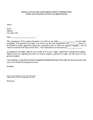 Forms Job Termination Letter