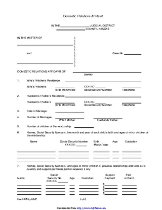 Kansas Domestic Relations Affidavit Form