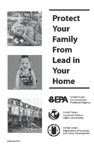Lead Paint Protection Brochure