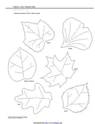 Leaf Template 1