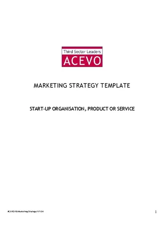 Market Strategies Template