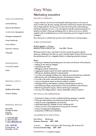 Marketing Executive Cv Template