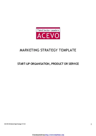 Marketing Strategy Template 3