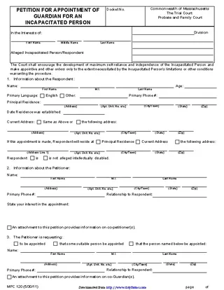 Massachusetts Guardianship Form 3