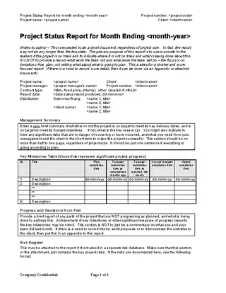 Monthly Project Status Report Template