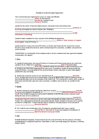 Nevada Commercial Lease Agreement Form