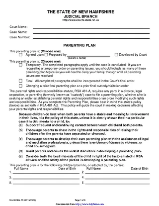 New Hampshire Parenting Plan Form