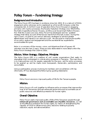 Ngo Fundraising Strategy Template