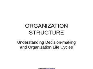 Non Profit Organizational Chart 3