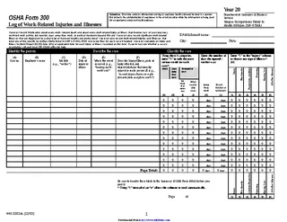 Osha Form 300