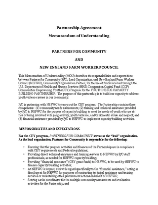 Partner Agreement Example