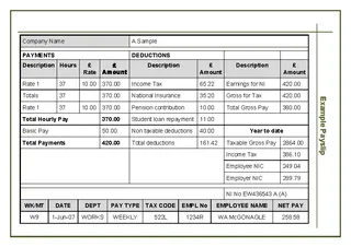 Pay Slip Template