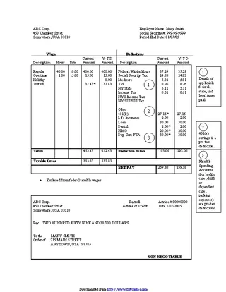 Forms Pay Stub Template 2