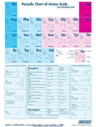 Periodic Chart Of Amino Acids