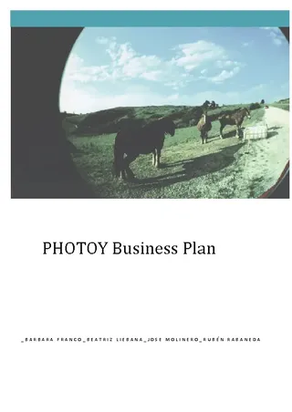 Photography Business Swot Analysis