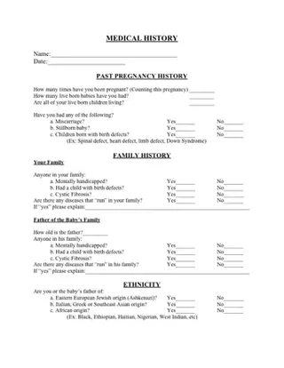Forms Pregnancy Papers PDF