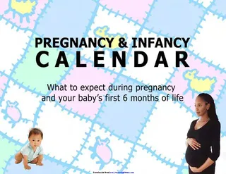 Forms Pregnancy Calendar 3