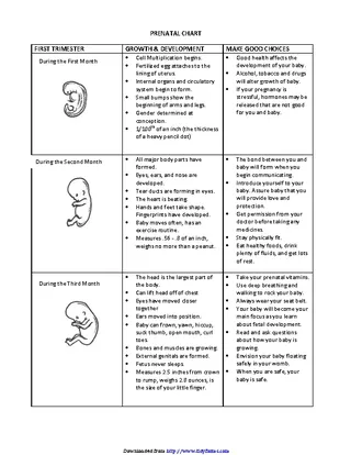 Forms Prenatal Chart