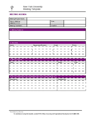 Professional Meeting Agenda Template