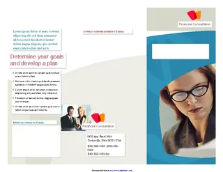 Professional Services Marketing Brochure Tri Fold