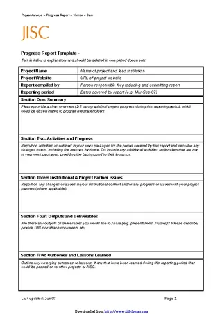 Progress Report Template