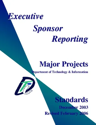 Project Executive Report