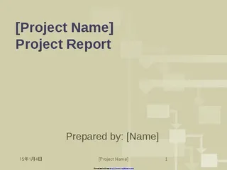 Project Report Template