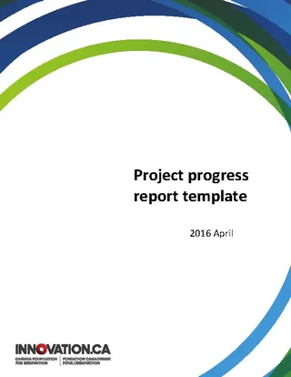 Forms Project Summary Report Template